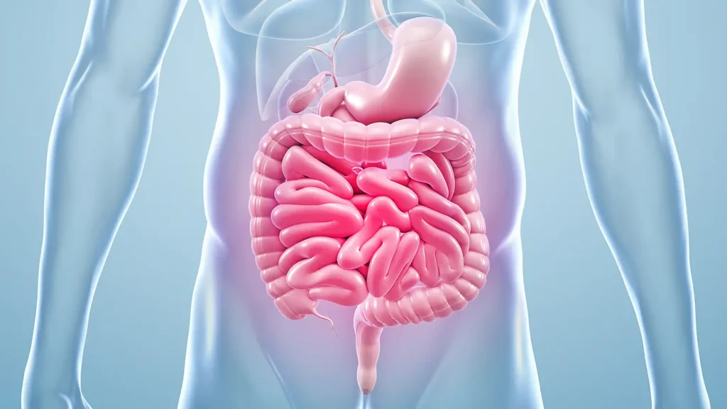 Gut Health