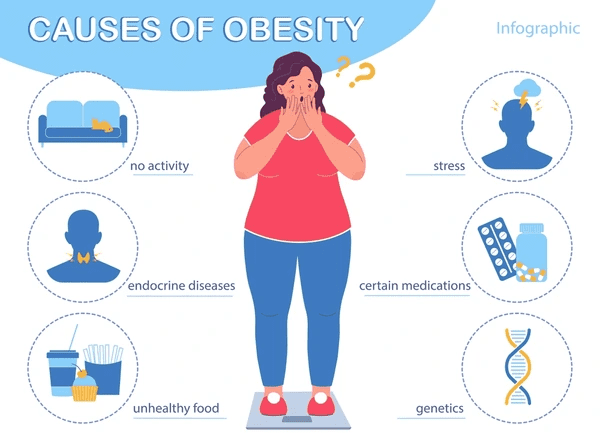 Causes Of Fat Gain