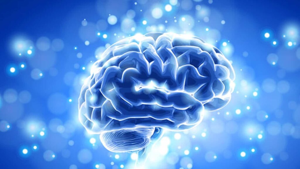 Tips to Keep Your Brain Healthy