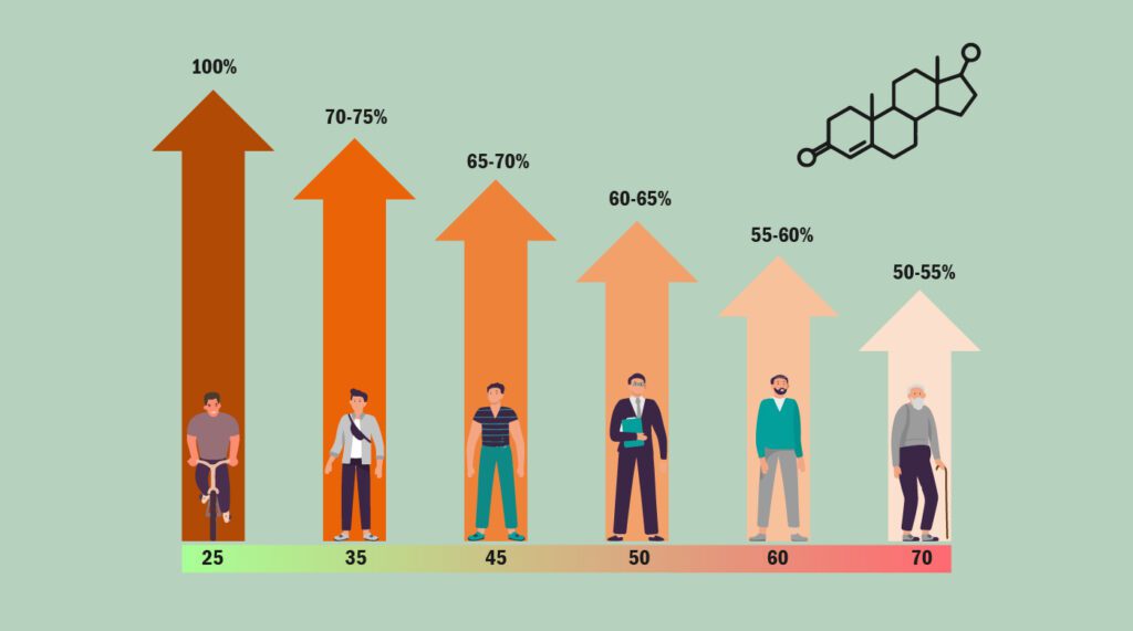 How Age Impacts Testosterone Levels
