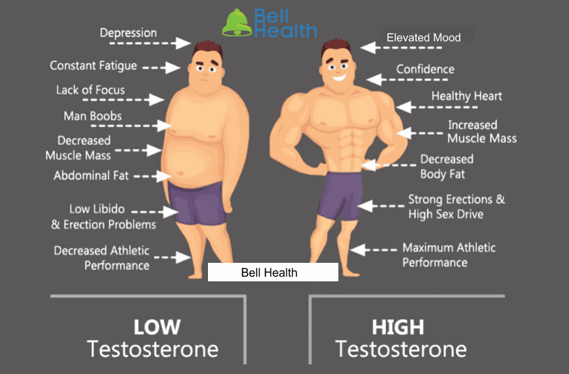 Low and High Testosterone