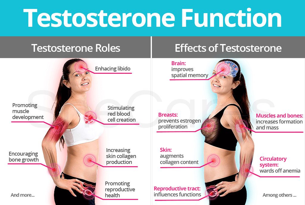 Testosterone in women