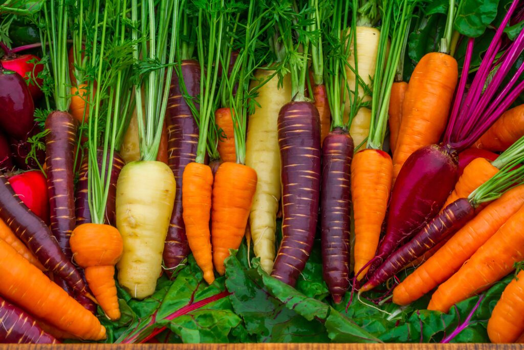 Carrots and Orange-Colored Vegetables