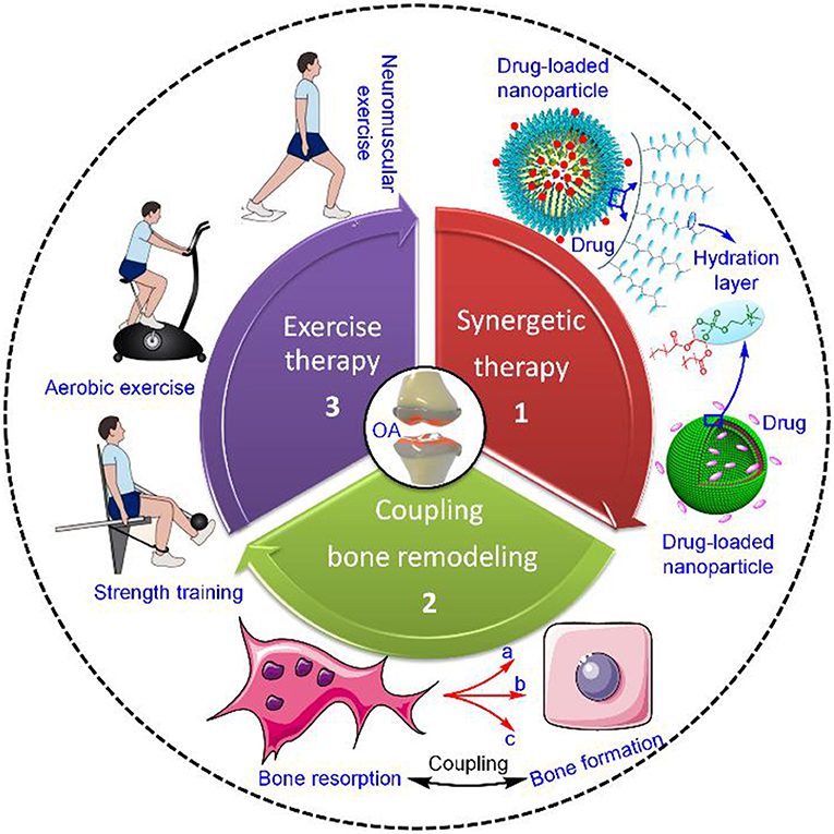 Treatment Strategies for Arthritis