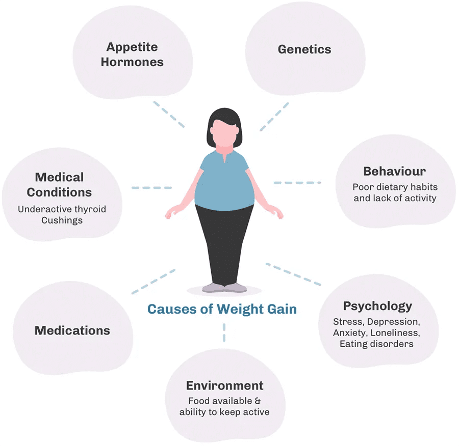 Causes of Excessive Weight Gain