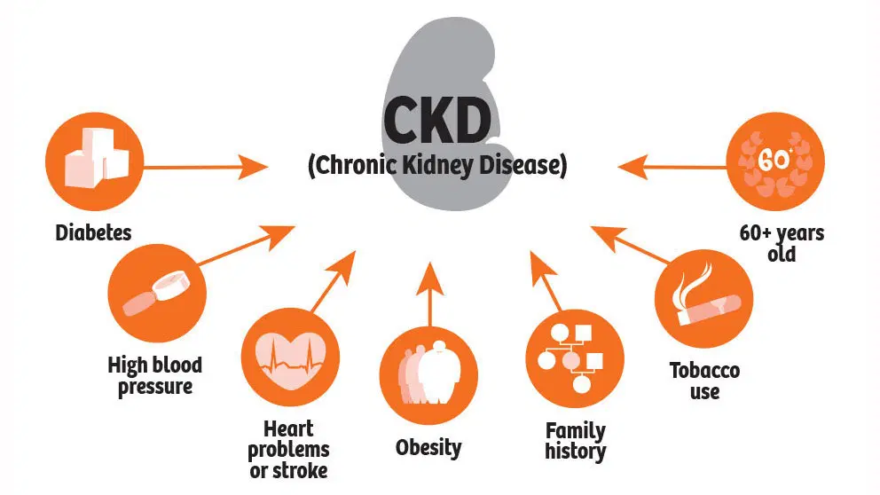 Causes and Risk Factors of Chronic Kidney Disease