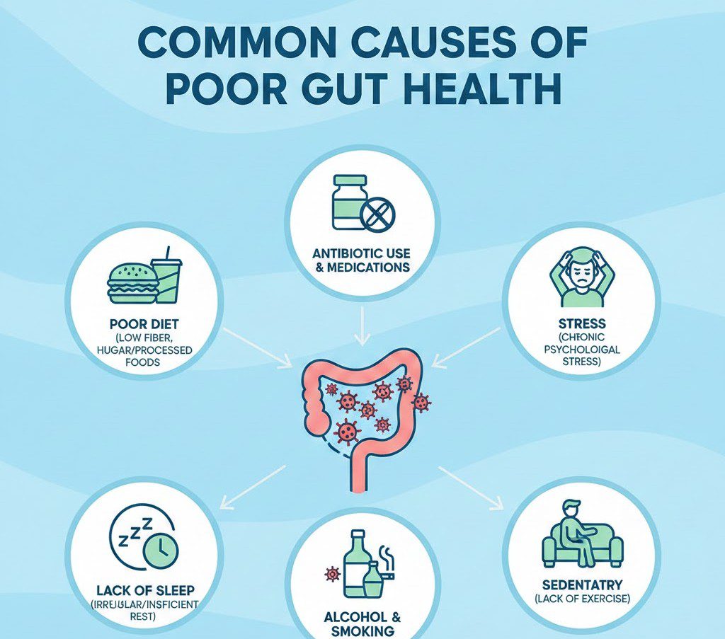 Common Causes of Poor Gut Health
