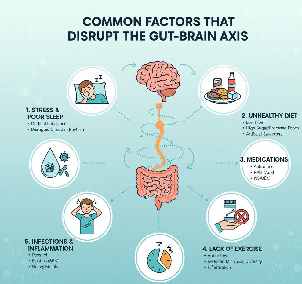 Common Factors That Disrupt the Gut-Brain Axis