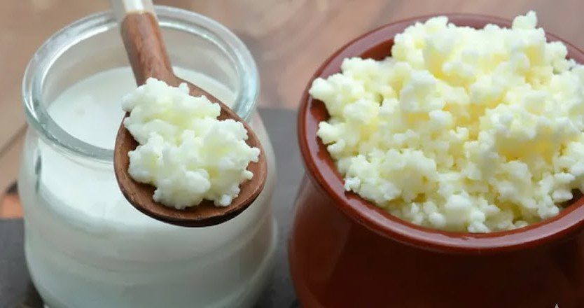 Kefir