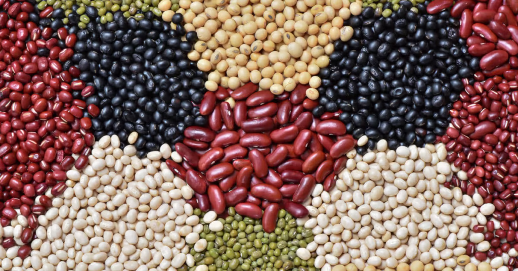 Legumes
