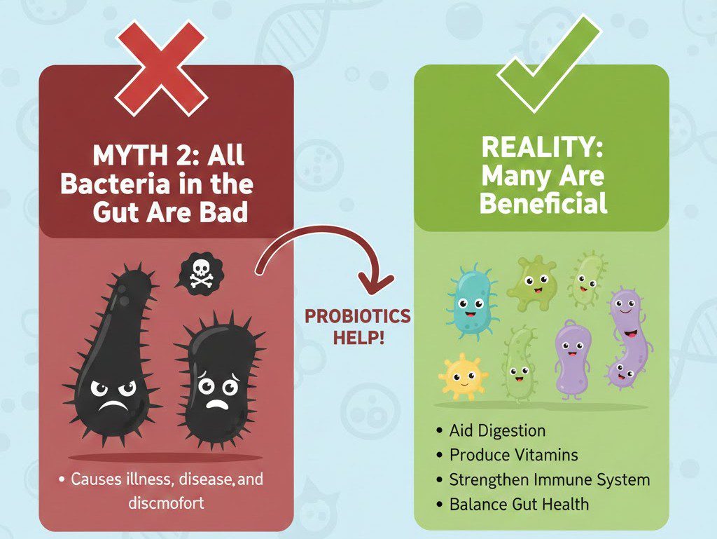 Myth 2: All Bacteria in the Gut Are Bad