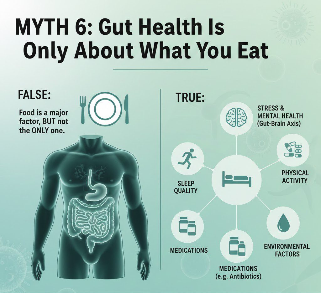 Myth 6: Gut Health Is Only About What You Eat