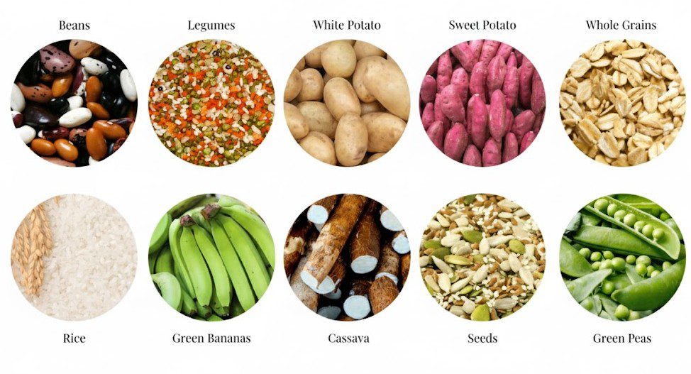 Resistant Starch