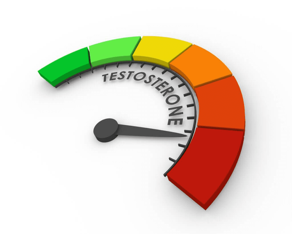 What Is Testosterone?